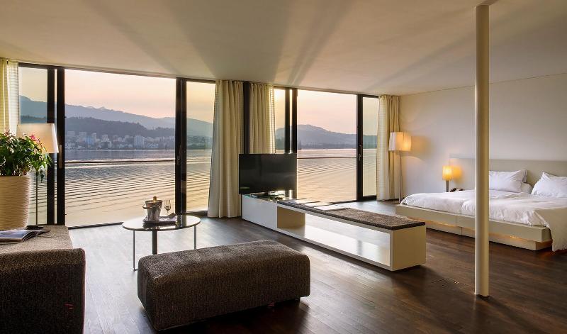 HERMITAGE Lake Lucerne - Oda