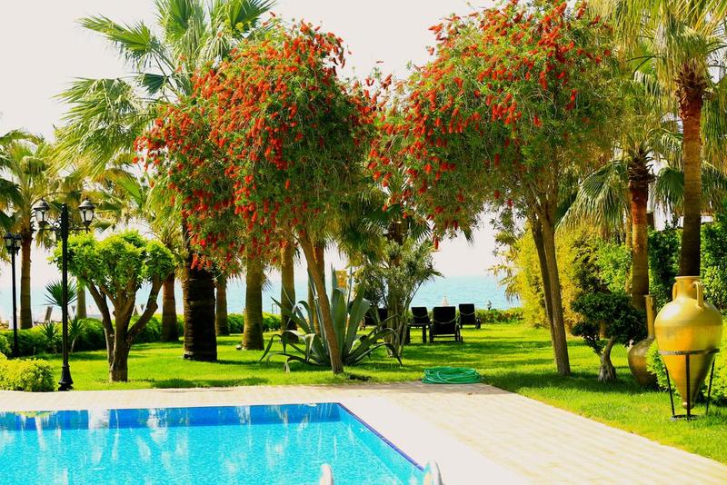 Villa Augusto Boutique Hotel & Spa - Havuz
