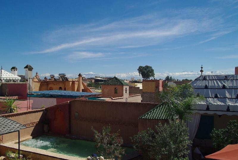 Riad Jona - Genel