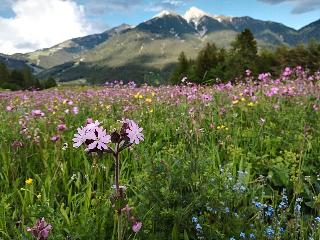 Das Hotel Eden Seefeld fotoÄŸrafÄ±