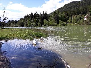 Das Hotel Eden Seefeld fotoÄŸrafÄ±