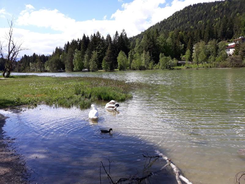 Das Hotel Eden Seefeld - Aktivite