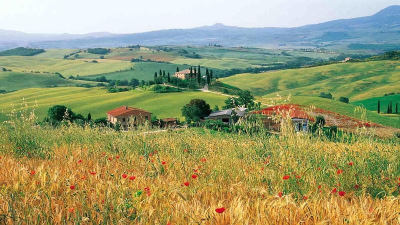 Adler Thermae Spa & Relax Resort - Genel