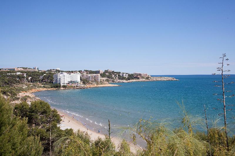 Best Negresco - Genel