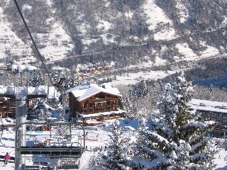 Les Flocons