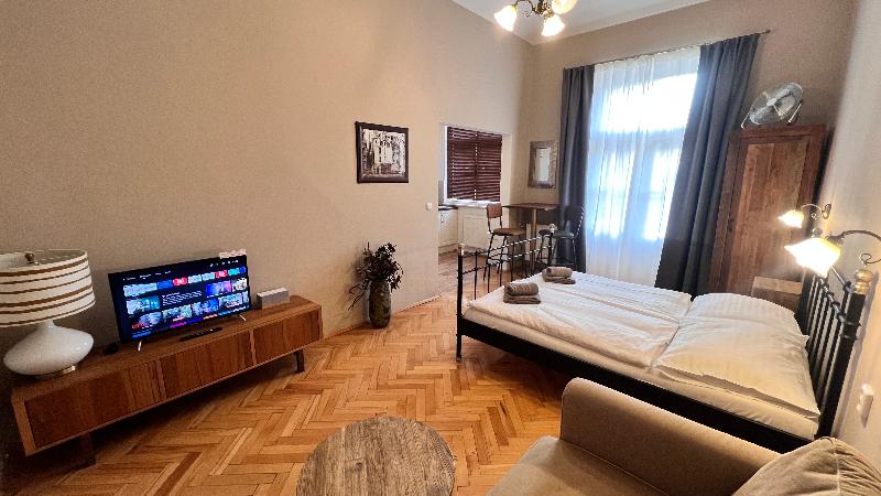 Old Town - Dusni Apartments - Oda