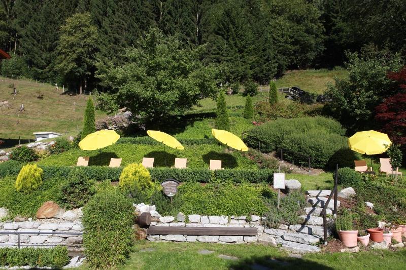 Alpenblick Sporthotel - Genel