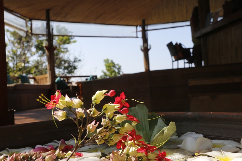 Koh Tao Hillside Resort - Lobi