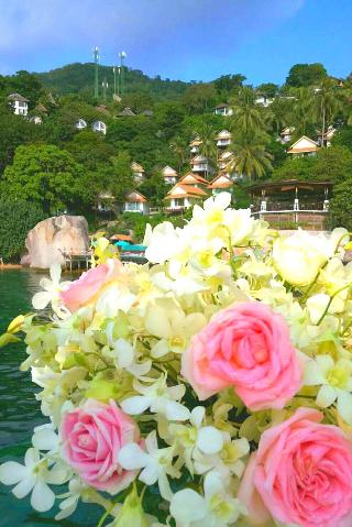 Koh Tao Hillside Resort fotoÄŸrafÄ±