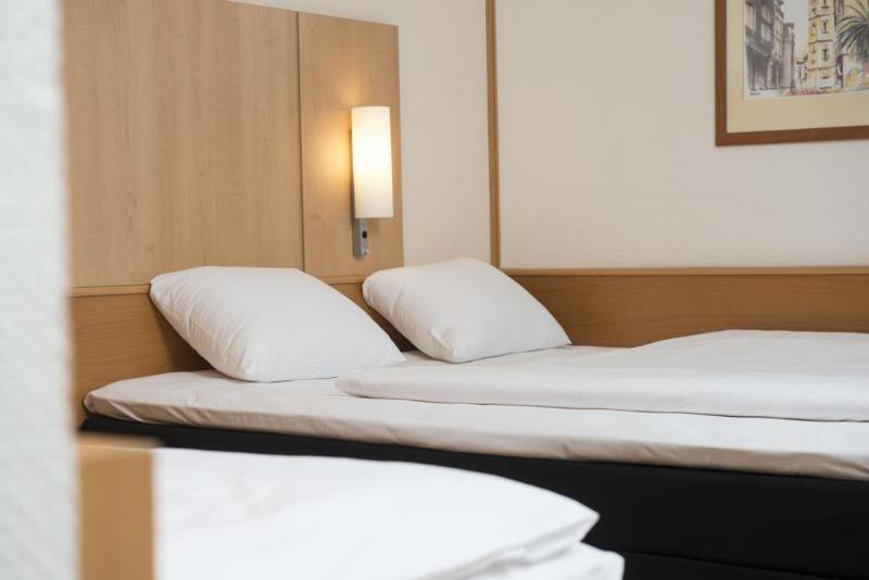 Ibis Eisenach - Genel