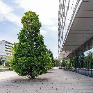 Courtyard Vienna Messe fotoÄŸrafÄ±