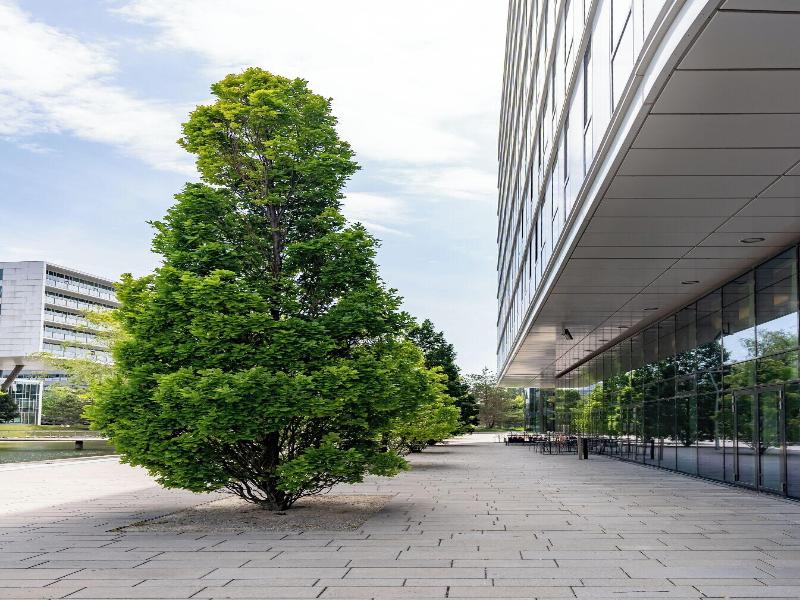 Courtyard Vienna Messe - Teras