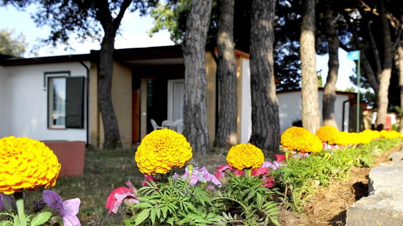 La Serra Holiday Village & Beach Resort - Genel