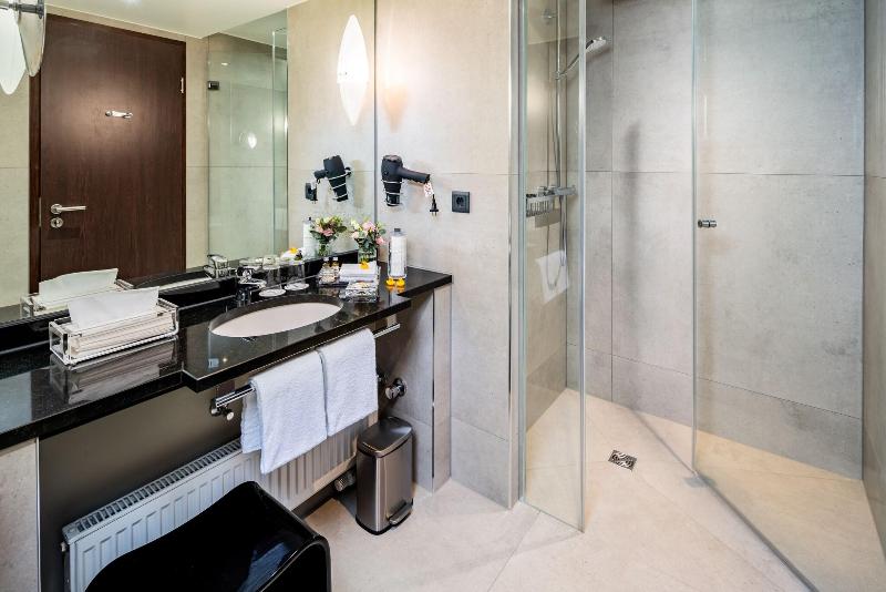 Park Plaza Trier - Oda