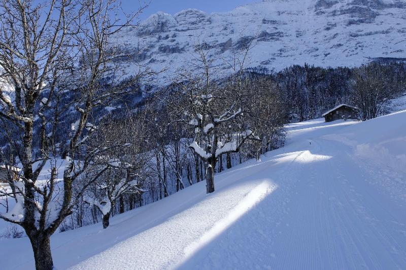 Hotel Aspen - Genel