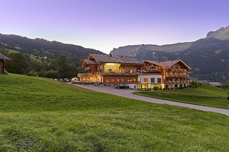 Hotel Aspen - Genel