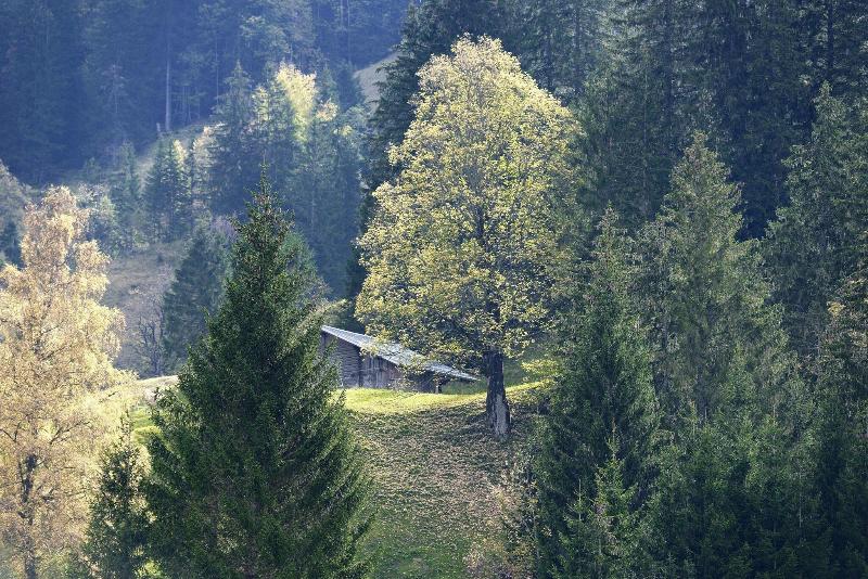 Hotel Aspen - Genel