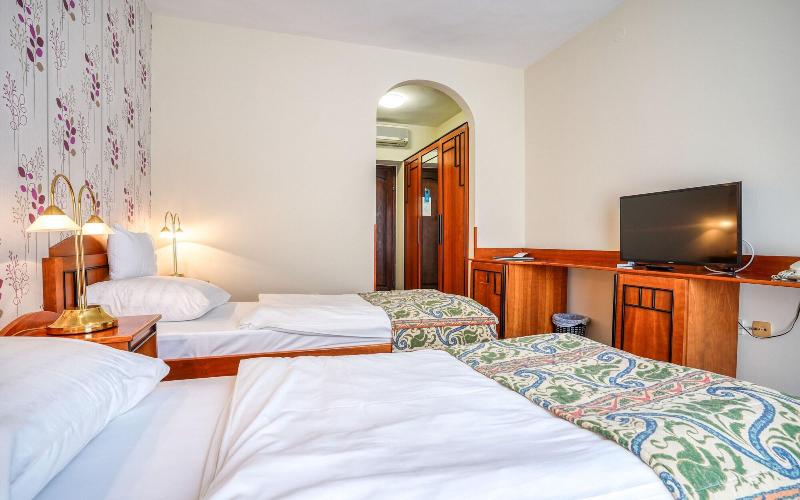 Erzsebet Hotel - Oda