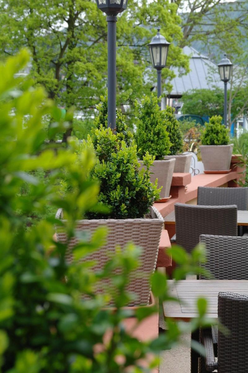 Hotel Moseltor - Teras