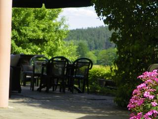 Landhotel Steigerwaldhaus fotoÄŸrafÄ±