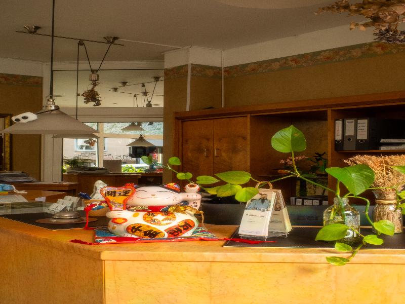 Hotel Residenz Düsseldorf - Lobi
