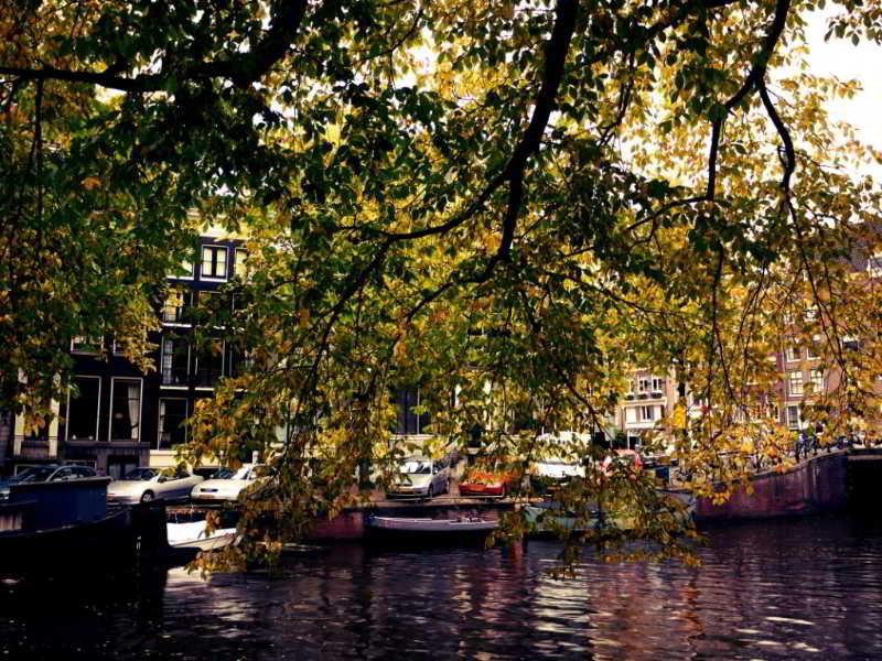 The Bank Hotel fotoÄŸrafÄ±