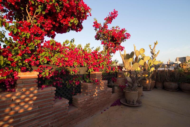 Riad Samsli - Teras