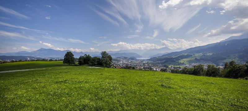 Hotel Sonnenberg - Genel