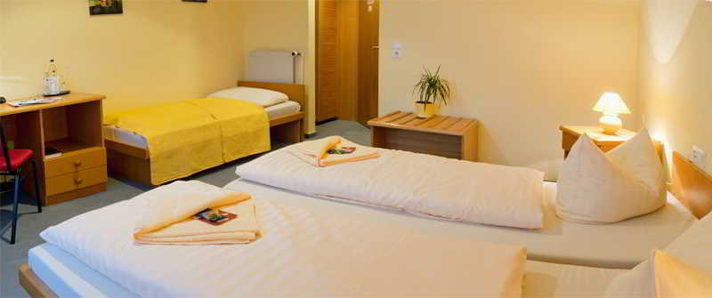Hotel Zwickau Mosel fotoÄŸrafÄ±