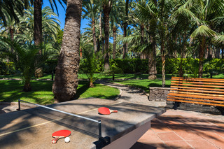 Seaside Palm Beach fotoÄŸrafÄ±
