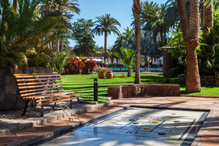 Seaside Palm Beach fotoÄŸrafÄ±