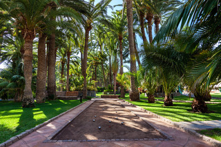 Seaside Palm Beach fotoÄŸrafÄ±