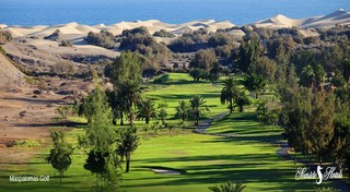 Seaside Palm Beach fotoÄŸrafÄ±