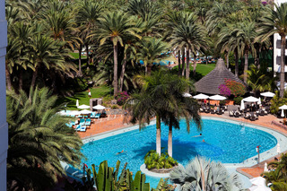 Seaside Palm Beach fotoÄŸrafÄ±
