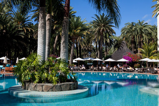 Seaside Palm Beach fotoÄŸrafÄ±