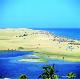Seaside Palm Beach fotoÄŸrafÄ±