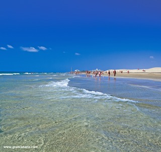 Seaside Palm Beach fotoÄŸrafÄ±