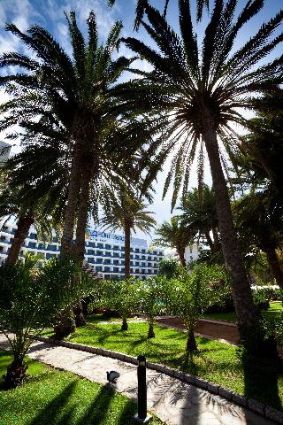 Seaside Palm Beach fotoÄŸrafÄ±