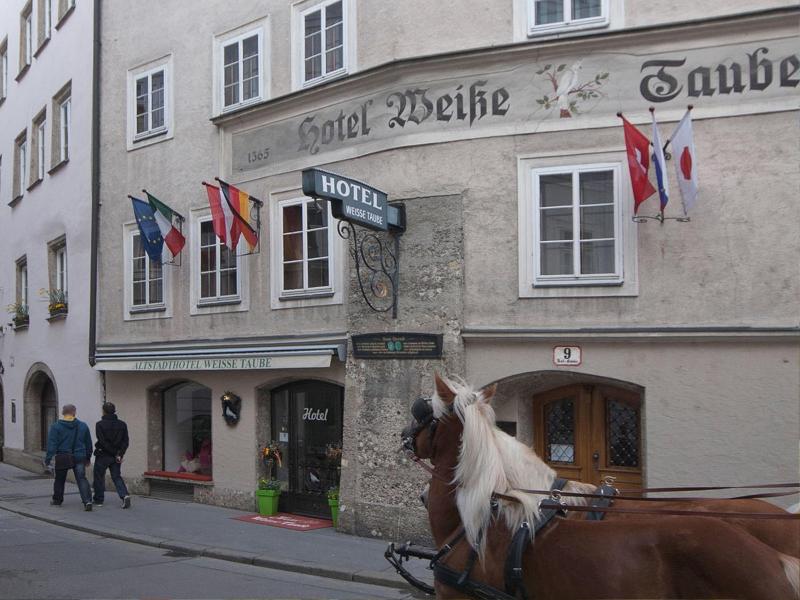 Altstadthotel Weisse Taube - Genel