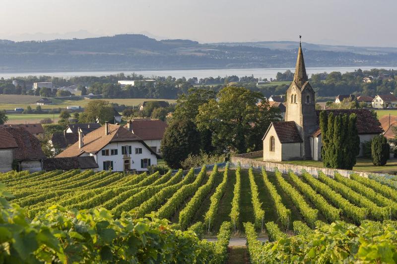 Grand Hotel des Rasses & Wellness - Genel