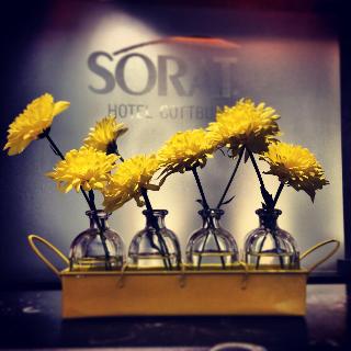 Sorat Hotel Cottbus fotoÄŸrafÄ±