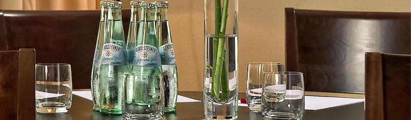 Sorat Hotel Cottbus - Toplantı