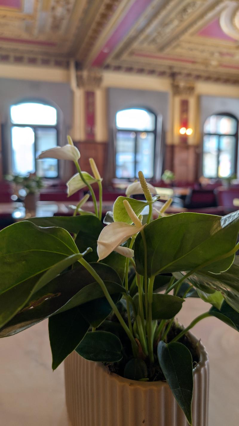 Hotel Harder Minerva - Restoran