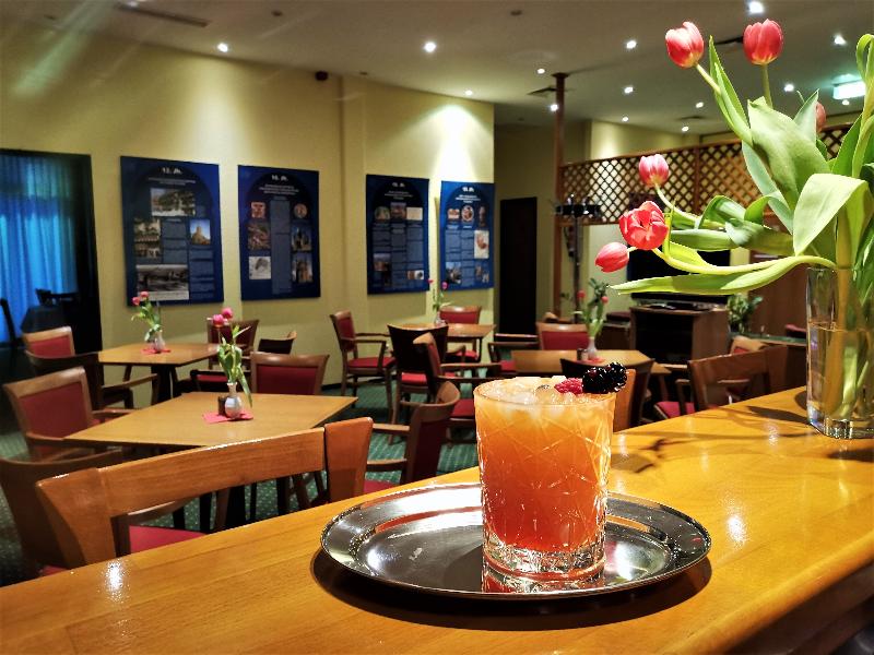 Acron Hotel Quedlinburg - Bar