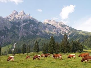 Travel Charme Bergresort Werfenweng fotoÄŸrafÄ±