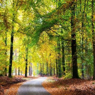 Hampshire Inn   Landgoed Stakenberg fotoÄŸrafÄ±