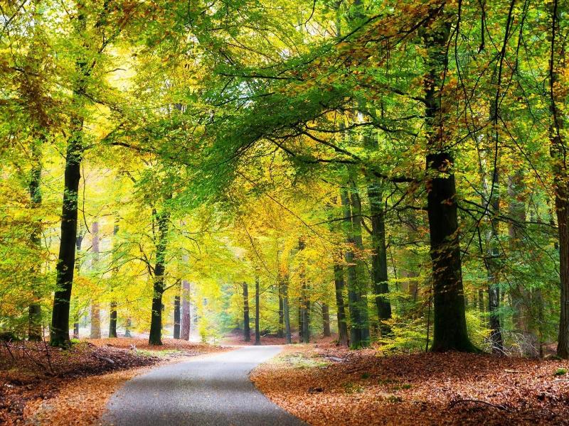 Hampshire Inn   Landgoed Stakenberg - Genel