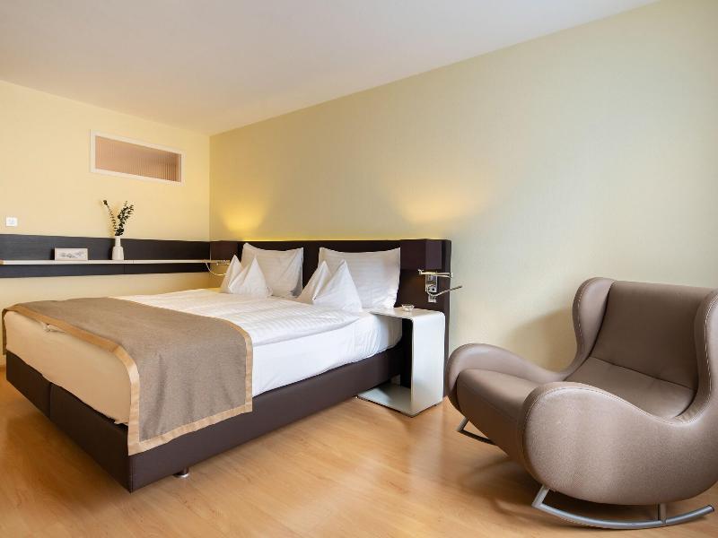 Hotel Spalentor Basel - Oda