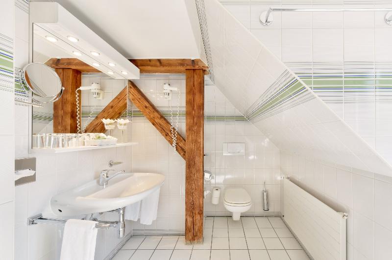 Astra Hotel Vevey - Oda