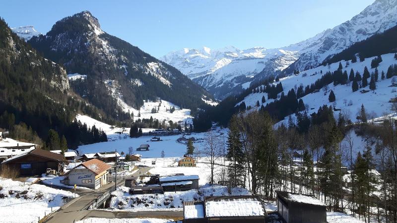 Hotel Baeren - Genel